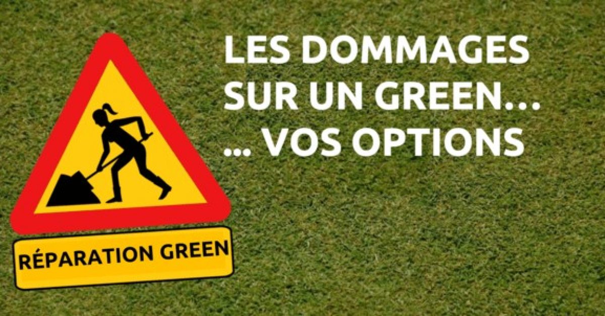 dommage-green